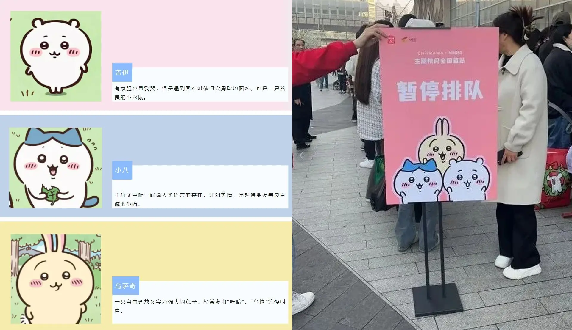 网红IP设计.webp