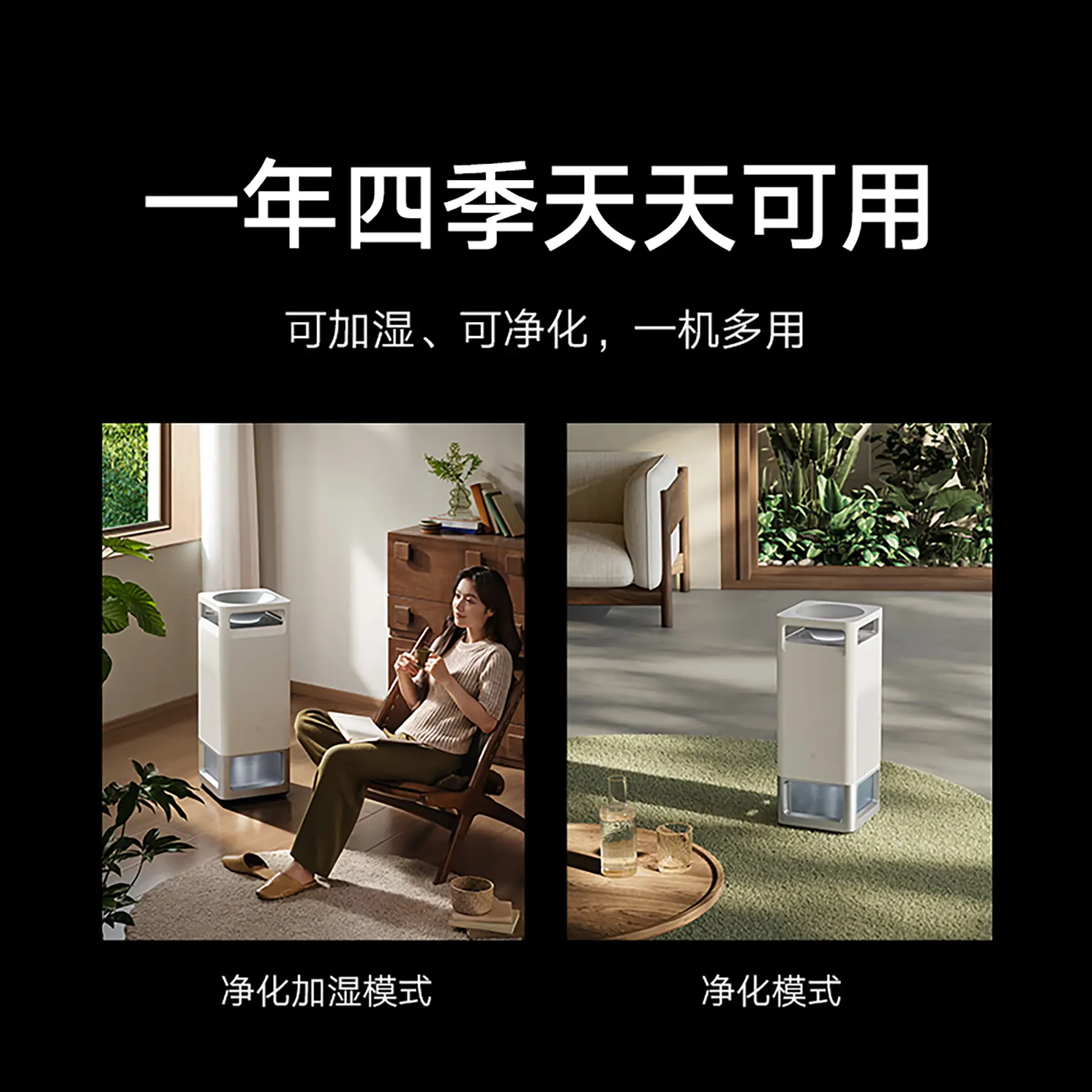 WE-ab2f8e83-bf01-41b8-9f59-530d9a90b076.webp