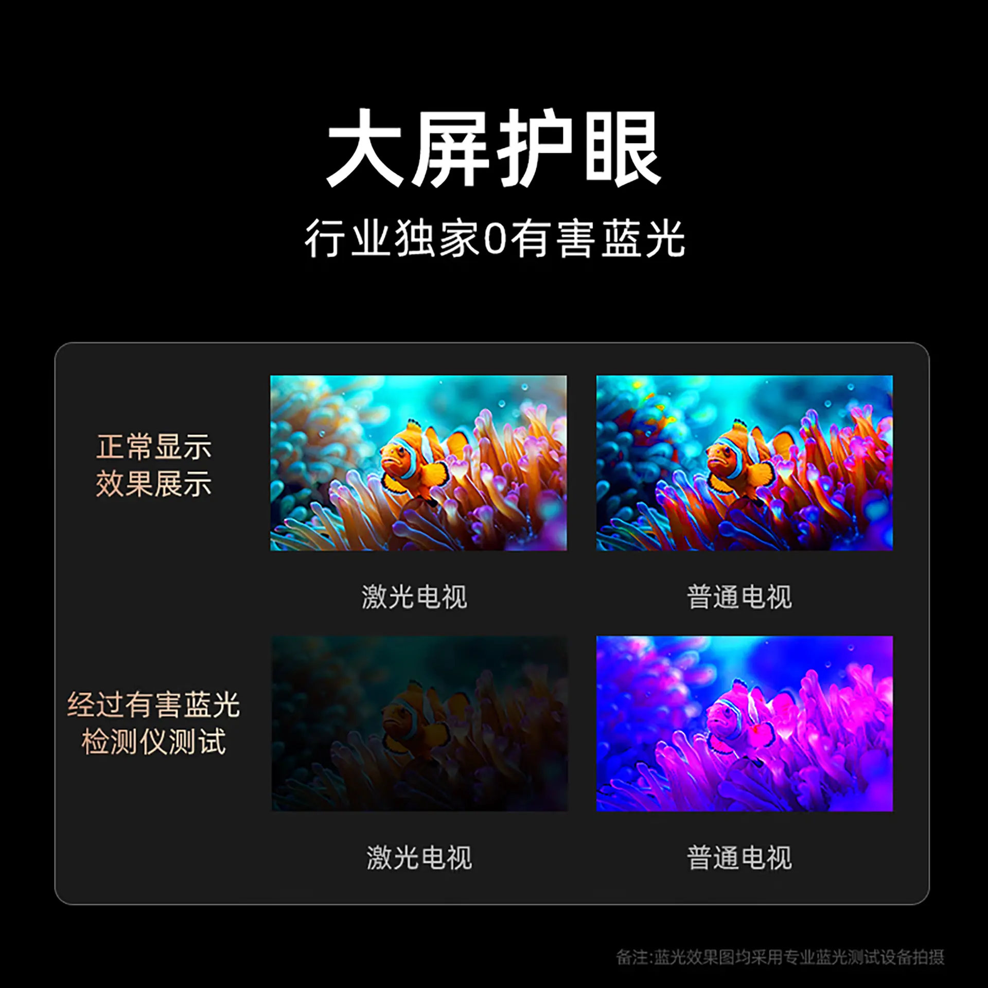 WE-9730a5d8-74bc-485d-83d9-a3bf323fe36b.webp