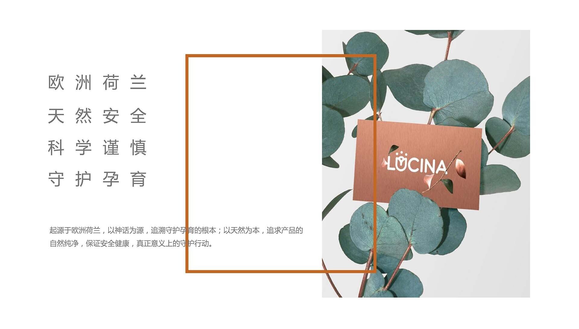 产品品牌设计